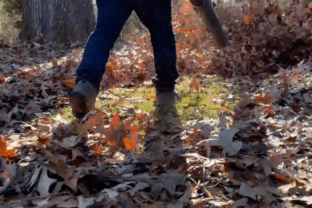 YB Leaf Removal4 1920x1280 1