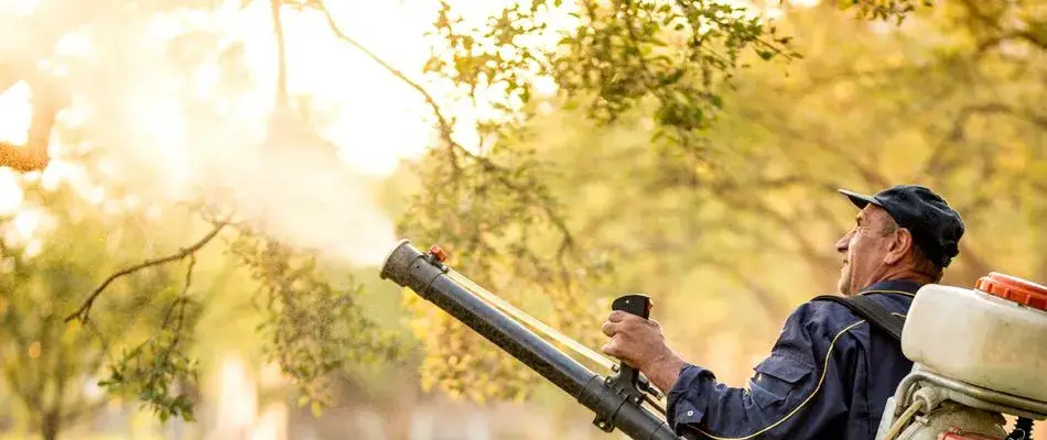 content technician applying mosquito control to tree 1920w