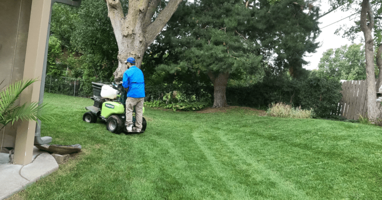 5 Signs Your Lawn Needs a Fertilization & Weed Control Program