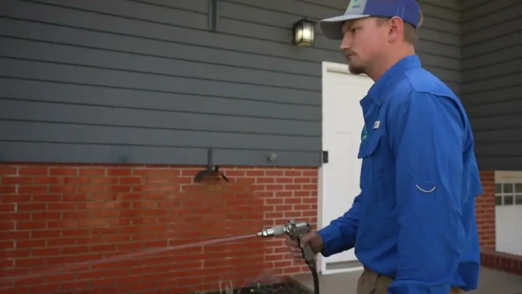 our pest control services