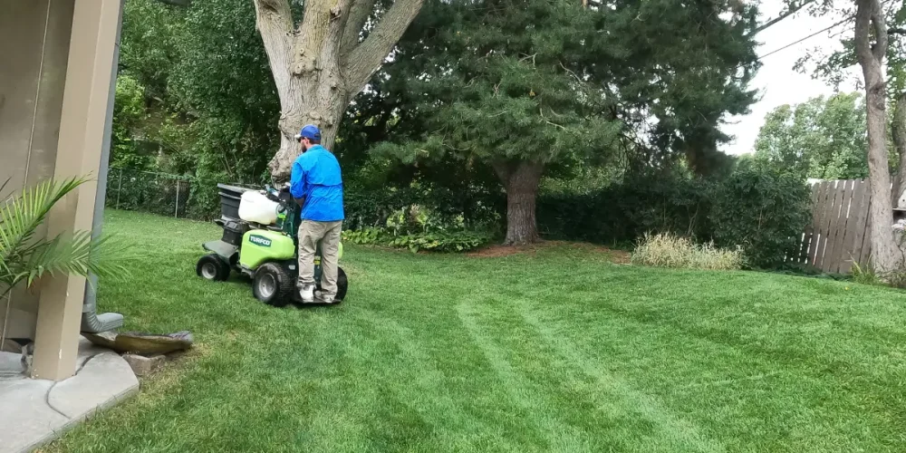 5 Step Lawn Fertilization & Weed Control Program